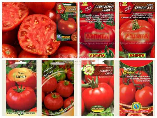 Лучшие сорта низкорослых томатов для теплицы и открытого грунта. Рейтинг с описанием и фото