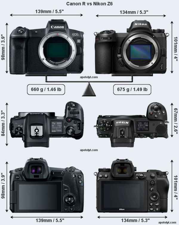 Сравнение фотоаппаратов брендов Никон и Кэнон