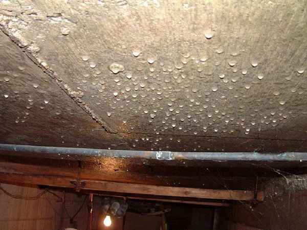 Устраняем конденсат на потолке в подвале