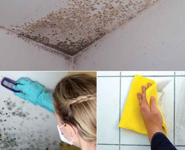 Как избавиться от грибка в ванной комнате