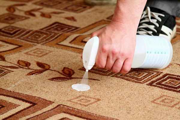 Основные способы очистки различных типов ковровых покрытий +Видео