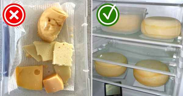 Основные правила хранения твердых и мягких сыров в холодильнике +Видео