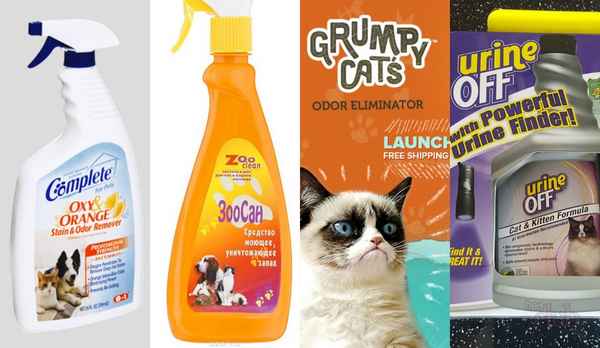Очищение различных поверхностей от запаха и пятен кошачьей мочи: Советы