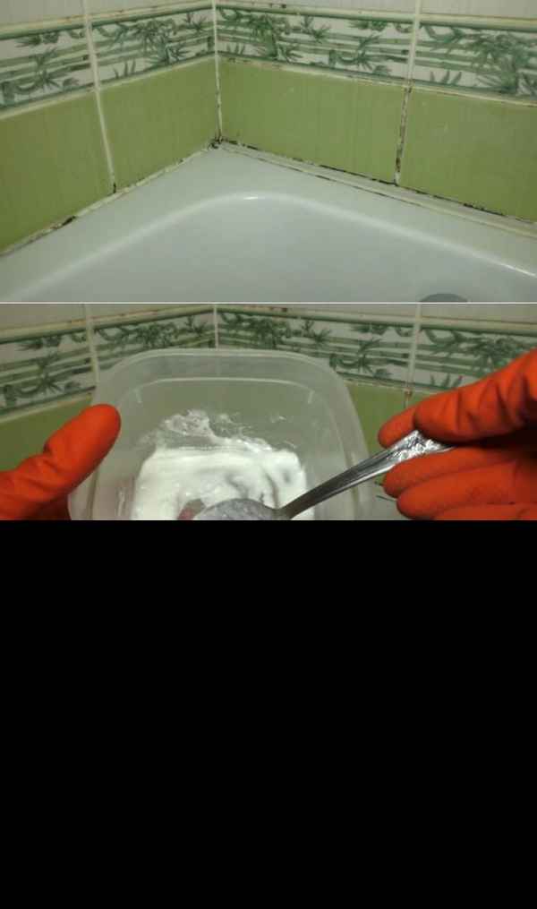 Чем отмыть плесень в ванной комнате