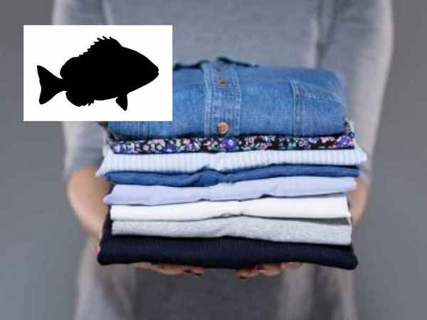Способы избавления от запаха рыбы на одежде в домашних условиях