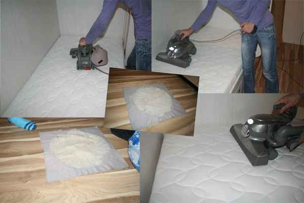 Способы борьбы с пылевыми клещами в квартире