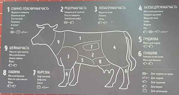 Какую часть говядины для какого блюда использовать  