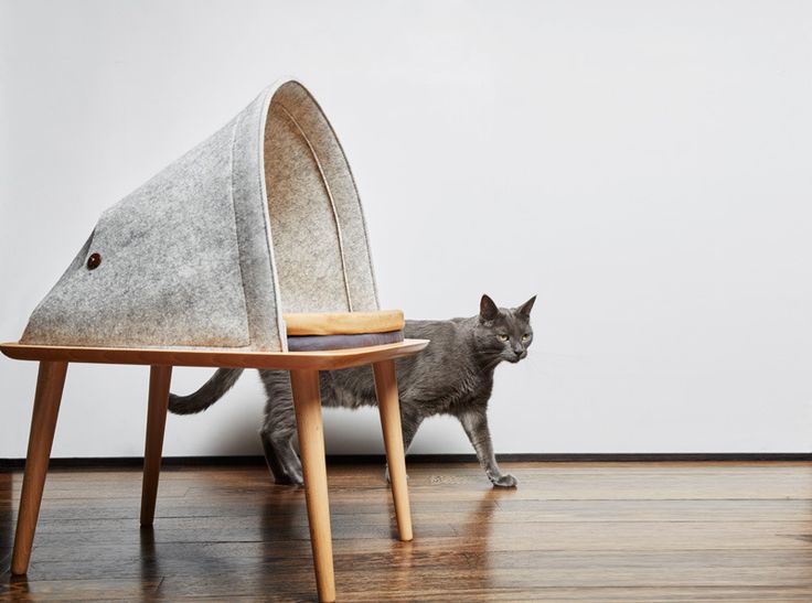 Необычная мебель для котов: фото, идеи, концепты