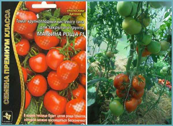 томат марьина роща f1: отзывы, урожайность и описание сорта + фото куста
