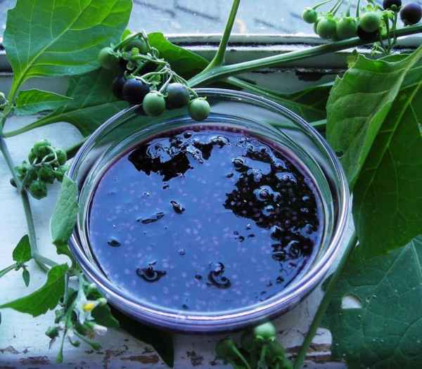 санберри полезные свойства и противопоказания, рецепты приготовления на зиму (варенье из ягоды, джем, компот) + фото