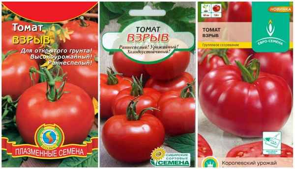 томат взрыв: отзывы, фото тех, кто сажал, хаpaктеристика и описание сорта