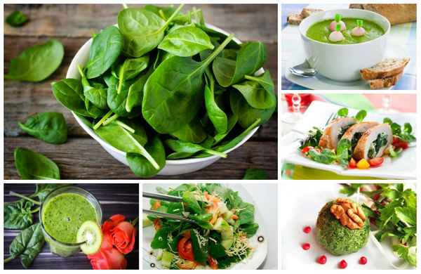 шпинат: как употреблять в пищу (вкусные и полезные рецепты)