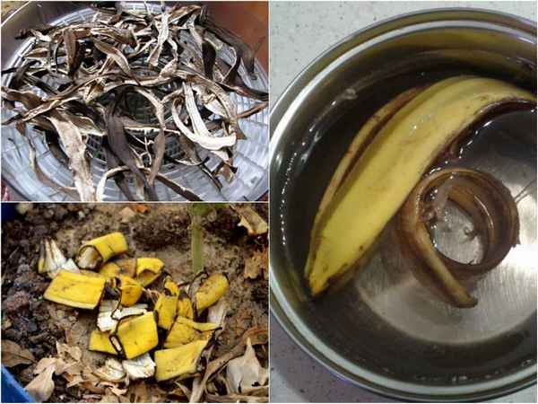 Удобрение из банановой кожуры для рассады: как сделать + отзывы