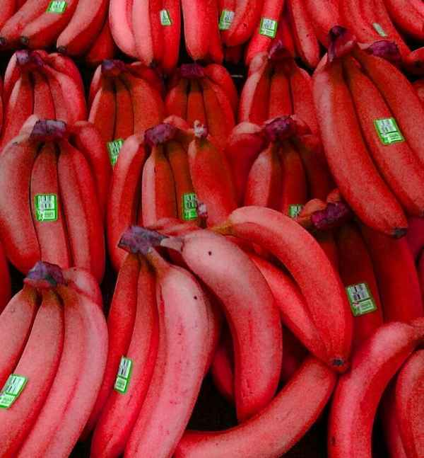 Что такое красные бананы и что с ними делать + фото