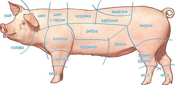 Корейка свиная это какая часть туши
