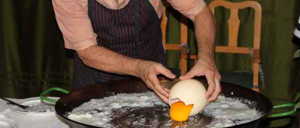 Страусиное яйцо: сколько весит, цена, как приготовить, польза и вред