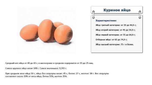 Сколько весит куриное яйцо со скорлупой и без (примерный вес одного яйца в граммах)
