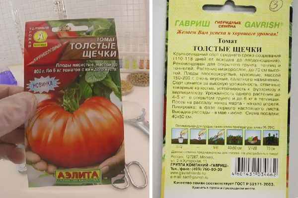 Томат Толстушка: описание и хаpaктеристика сорта