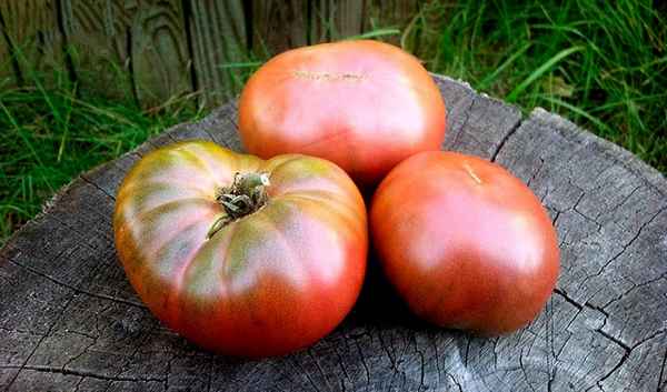 Томат Королевский пурпурный: описание, фото, отзывы, урожайность
