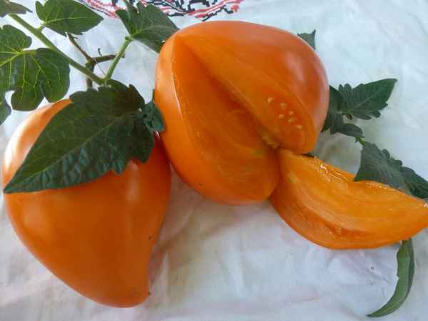 Томат Оранжевая Клубника: описание сорта, отзывы, фото