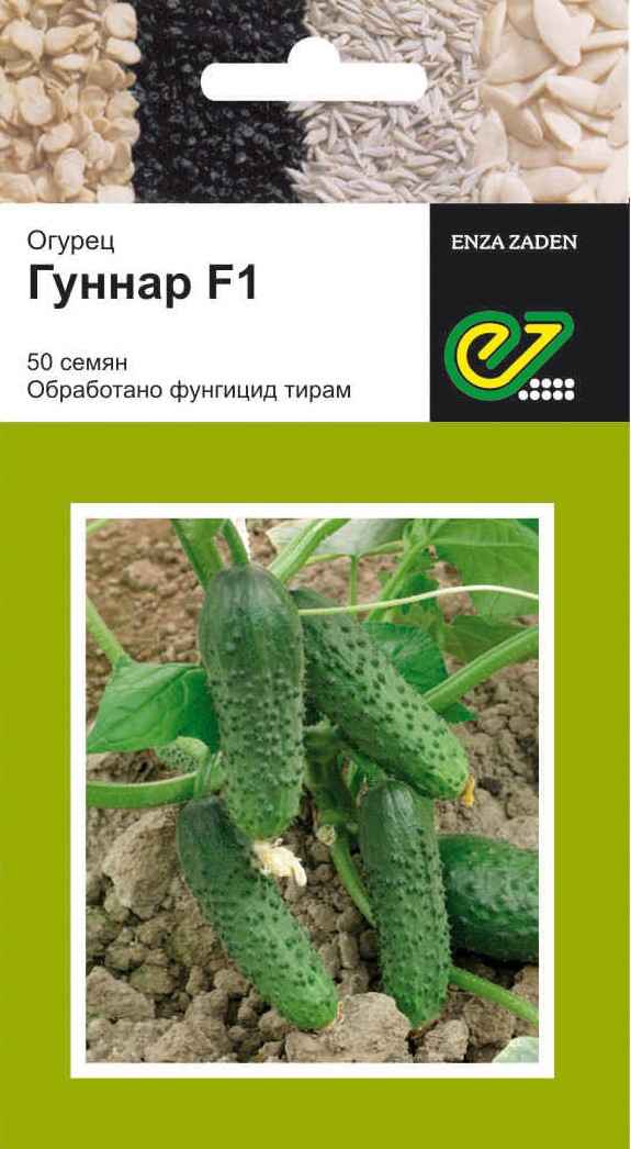 Огурец Гуннар F1: описание и урожайность сорта, фото, отзывы