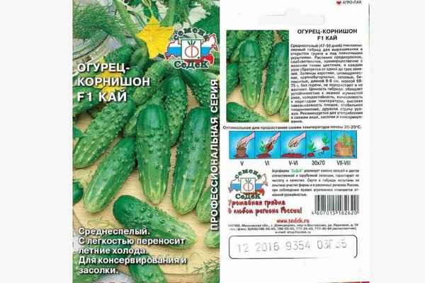 Огурец Зеленый крокодил F1: описание и урожайность сорта, отзывы