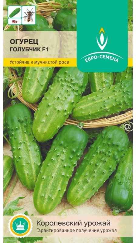 Огурец КС 90 F1: описание и урожайность сорта, фото, отзывы