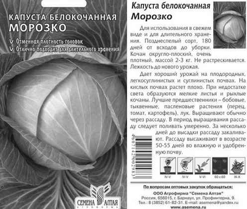 Капуста Морозко: описание, урожайность сорта и отзывы, фото