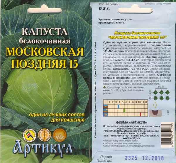 Капуста Московская поздняя 15: описание, урожайность сорта, фото