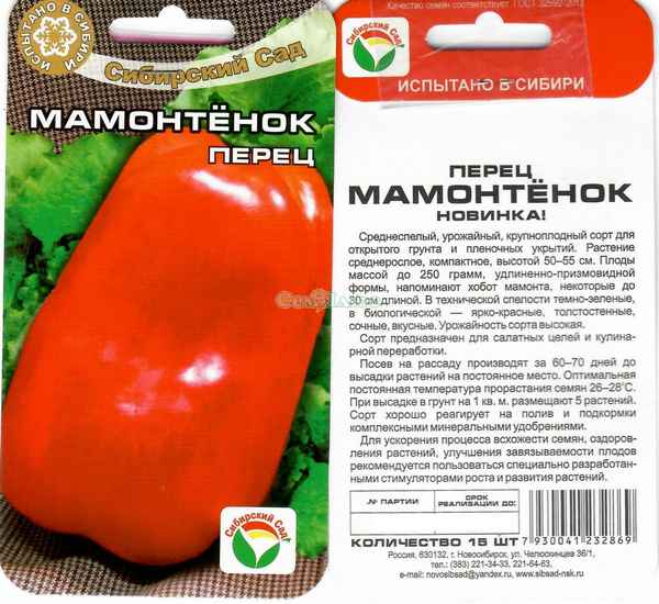 Перец Мамонтенок: описание, фото, отзывы, урожайность сорта