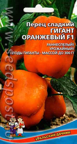 Перец Оранжевый гигант F1: отзывы, фото, урожайность, описание