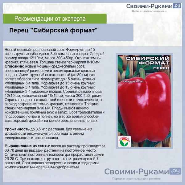Перец Сибирский формат: отзывы, фото, урожайность, описание