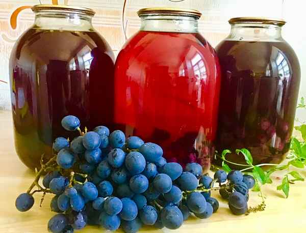 Компот из винограда на зиму: 4 рецепта как варить виноградный компот