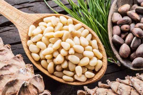 Кедровые орехи польза и вред, лечебные свойства и противопоказания