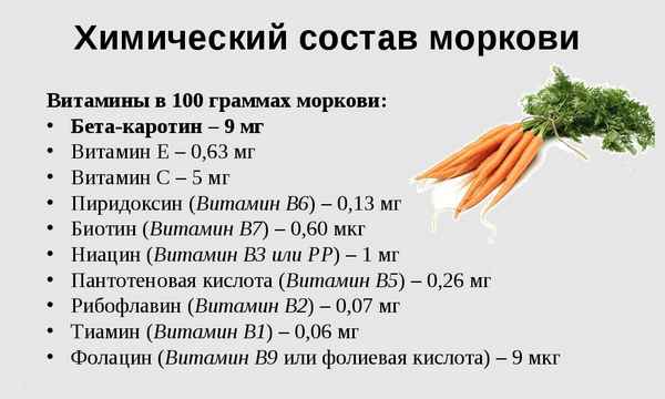 Морковь: польза и вред для организма, калорийность, лечебные свойства