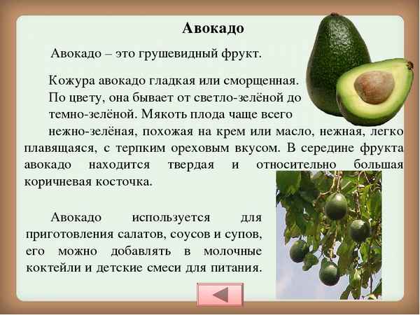 Авокадо это фрукт или овощ или ягода