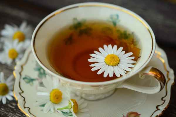 Чай из ромашки: полезные свойства и противопоказания ромашкового чая