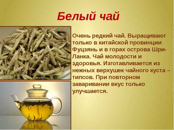 Белый чай: польза и вред, свойства, особенности приготовления