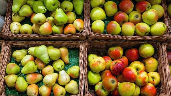 Традиции хранения яблок и груш