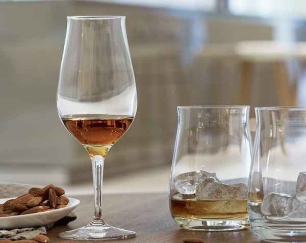 Бокалы для виски: как называются сосуды для дегустации, наборы, оригинальные бокалы-тюльпаны и рокс