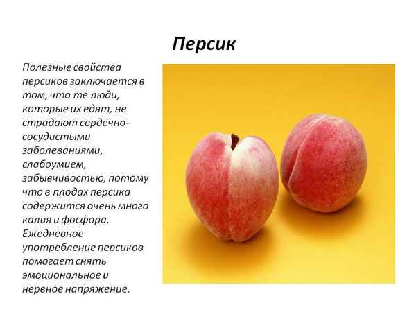 Особенности полезных и вредных для здоровья свойств персика