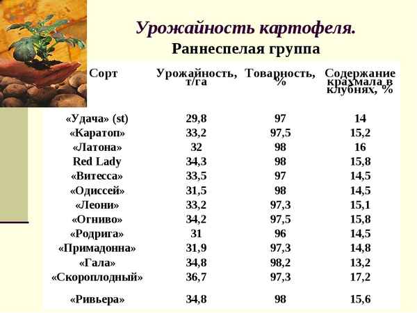 Таблица урожайности картофеля