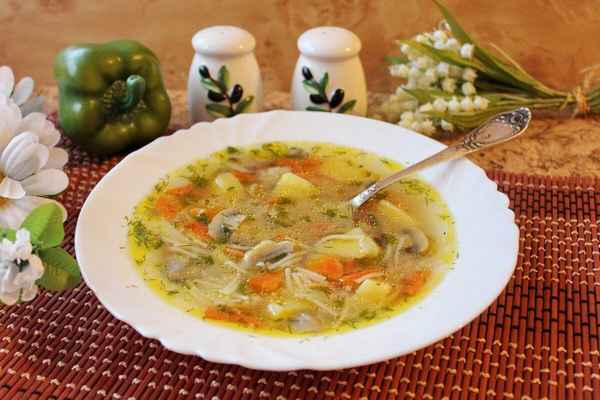 Рецепт вкусного куриного супа с грибами и вермишелью