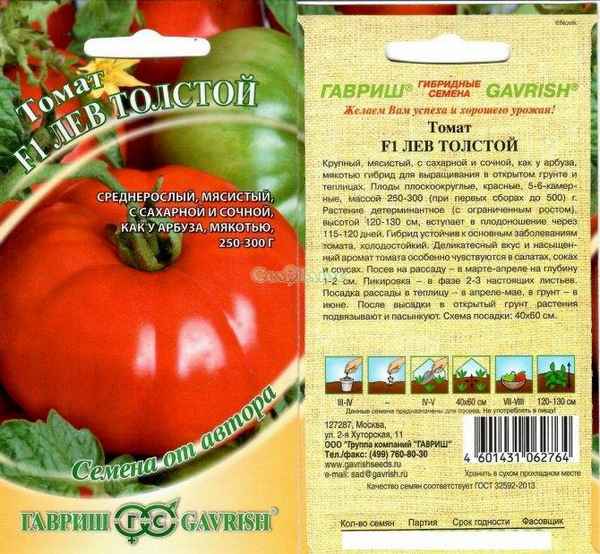 Помидоры Толстушка: описание, агротехника выращивания