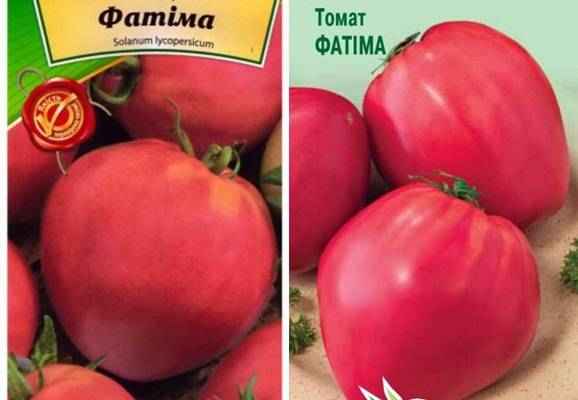 Помидоры Фатима: описание и агротехника выращивания сорта