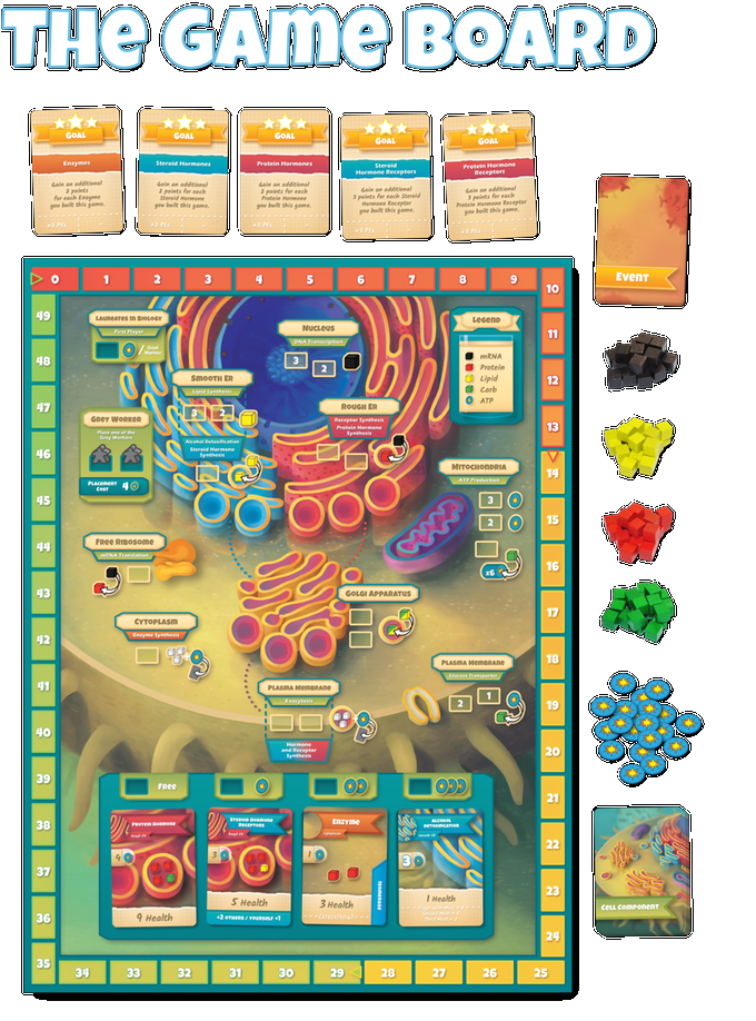 Cytosis: A Cell Biology Game – распечатай и играй