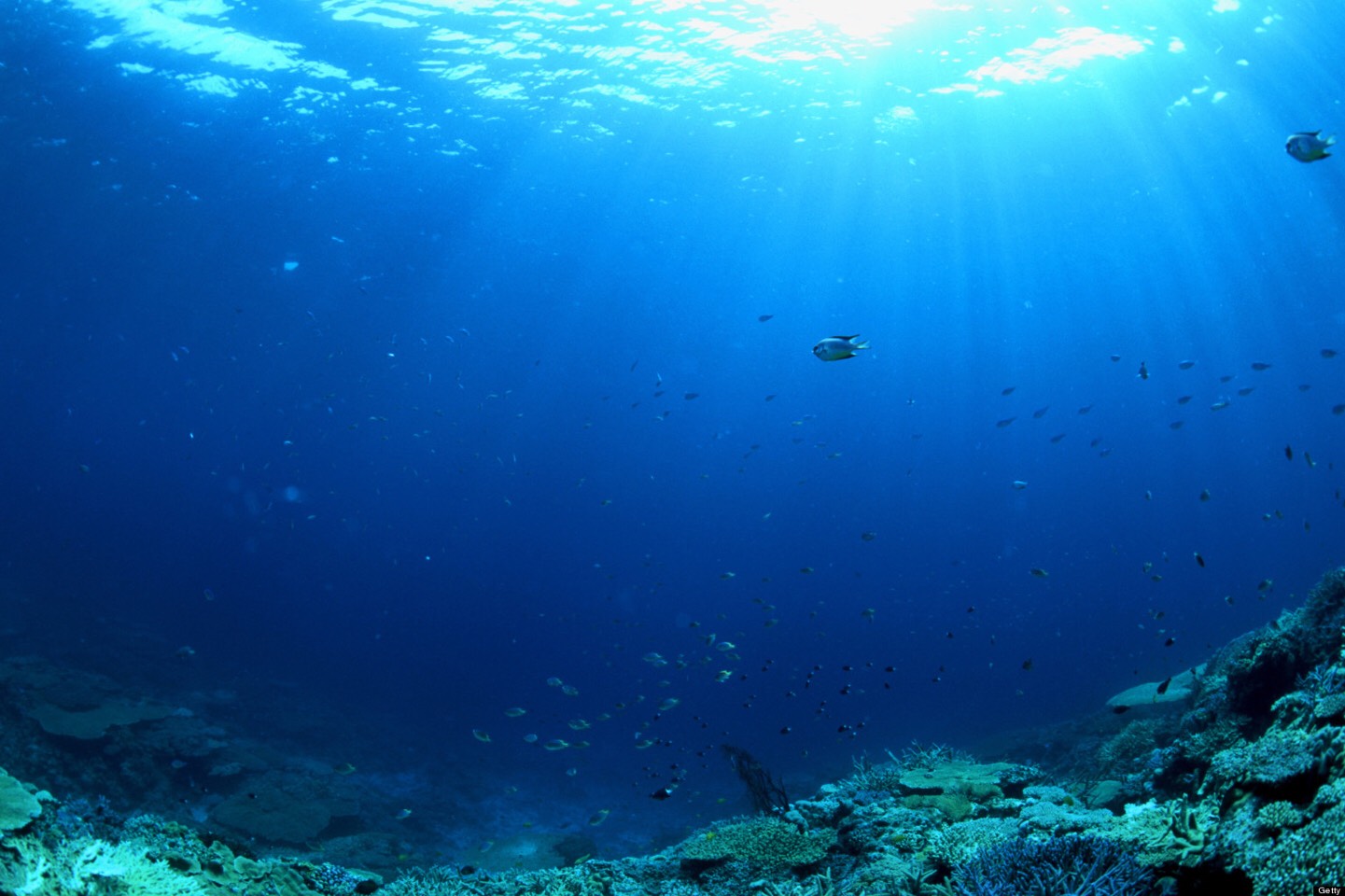 Oceanos: глубоко, ещё глубже, вообще на дне!