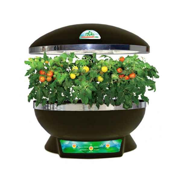 Оборудование для выращивания зелени в домашних условиях