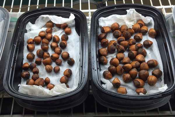 Выращивание фундука из ореха в домашних условиях