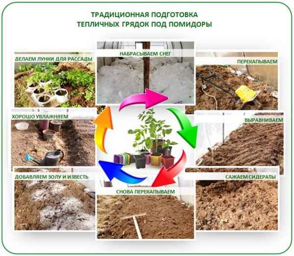Подготовка почвы для посадки томатов в теплице